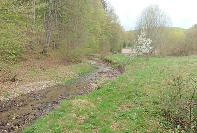 Spațiu comercial, în Sânpetru - 1