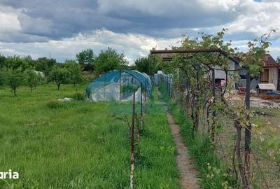 Casă cu 8 camere cu Teren 5000 Mp în Bengești - 1