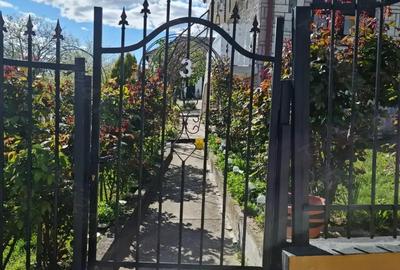 Serbia, Kladovo Vajua vile. Casa superba - 7