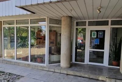 Spațiu comercial, de 384 mp, în Mihai Bravu - 13