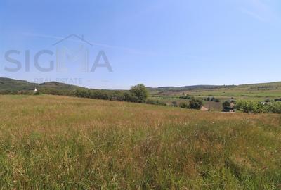 Teren Construcții intravilan de 3834 mp, în Băbuțiu - 1