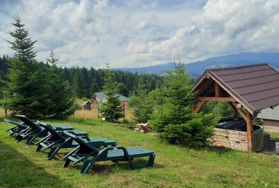 Casă cu 4 camere în Dealu Botii - 6