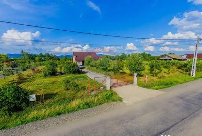 Casă cu 4 camere cu Teren 2834 Mp în Bozânta Mare - 2