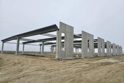 Vanzare hale/depozite/productie -industrial-Chitila - Rudeni, ILFOV - 22