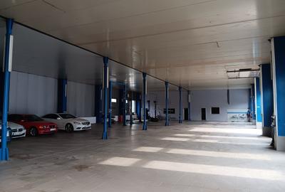 Teren de 5000 mp, în Titan - 8