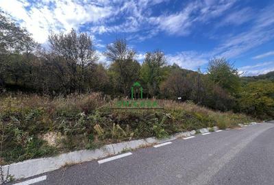 Teren intravilan 828 mp/Baile Govora - 4