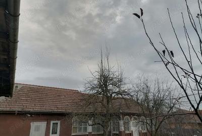 Casă cu 5 camere în Mureșeni