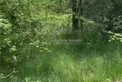 Teren de 500 mp, în Găneasa - 3