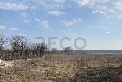 RECO Teren intravilan in Apateu 4200mp