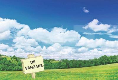 Teren 617 Mo?ni?a Noua, Toate Utilita?ile - 3