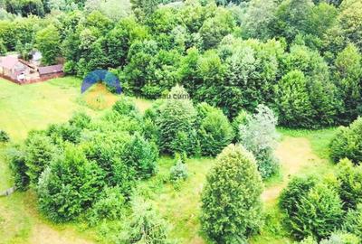 TEREN intravilan   8.000 mp TARCAU - 4