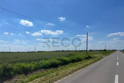 Teren de 10000 mp, în Nojorid - 11