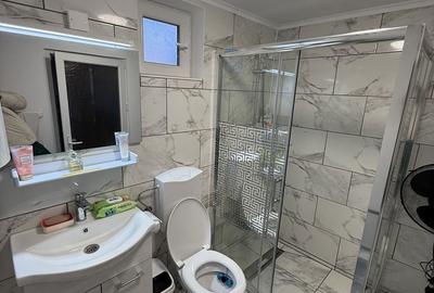 Casă cu 5 camere cu Teren 800 Mp în Valea Doftanei - 20
