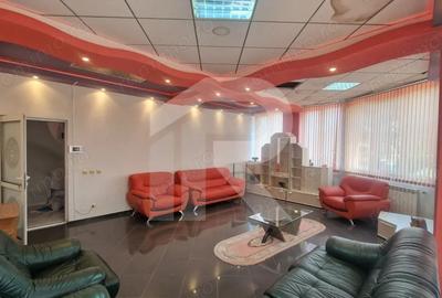 Vila individuala , B-dul Pieptanari, acceptam si cazre muncitori ! - 10