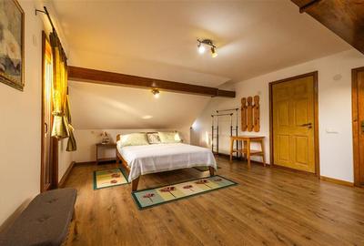 FILM! Investitie 2 in 1:Unitati independente +domeniu 1.742mp,aria Bran,Tohanita - 59