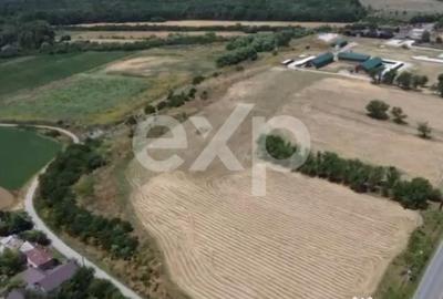 Teren în Crânguri - 3