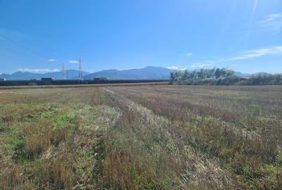 Teren industrial Stupini - 2