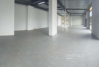Inchiriere hala/show room/Spatiu comercial Cluj-Baciu - 2