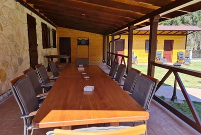 Casă cu 6 camere cu Teren 1000 Mp în Marga - 5