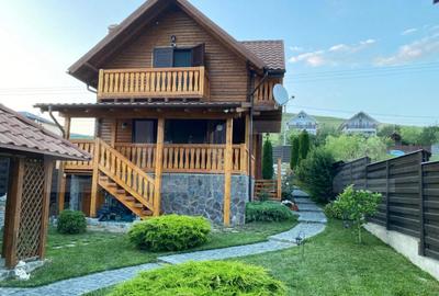 Cabana deosebita in Campenesti - un refugiu modern cu privel - 20