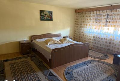 Casă cu 4 camere cu Teren 948 Mp în Bariera Vâlcii - 1