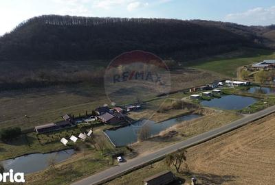 Teren de 7000 mp, în Laslea - 10