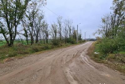 Teren de 3000 mp, în Brănești - 4