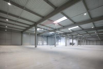 Hala de inchiriat, Sc 7014mp, Zona Biharia - 6