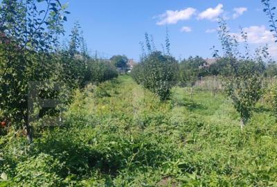 Casu?a tip foi?or, 30 mp, pe un teren de 3.000 mp, veder - 12