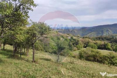 Teren de 3082 mp, în Damiș - 16