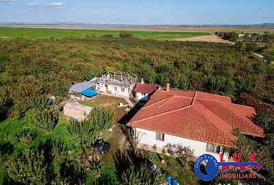 Teren de 44999 mp, în Sabangia - 5
