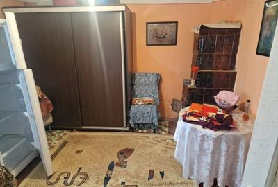 Casă individuală cu 3 camere cu Teren 2850 Mp în Alunișu - 10