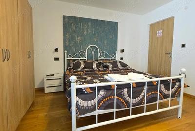 Vila Busteni 4 camere zona Valea Alba Vila Busteni 4 camere zona Valea Alba - 11