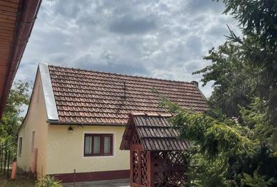 Vand casa cu gradina - 2