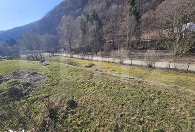 Casă cu 6 camere cu Teren 4159 Mp în Telciu - 15