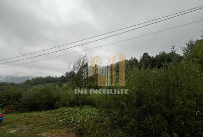 Teren intravilan Sinca Noua - 7