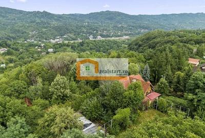 Pet Friendly, Vedere Padure, 5000mp teren, D+P+1E+M, semineu, foisor - 43