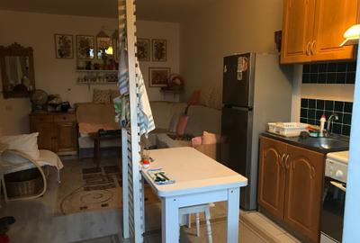 Titan - Hala Laminor - metrou - Apartament 2 camere in vila - curte 37 mp - 2013 - 2