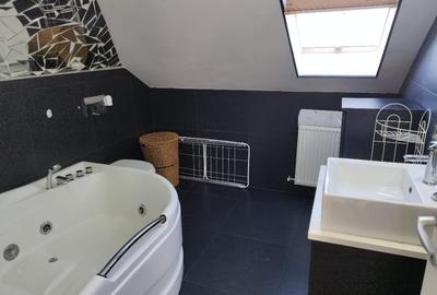Apart 3 camere la mansarda(2 dormitoare + 1 living cu bucatarie) str. M. Eliade - 8