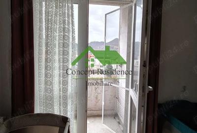 Apartament cu 2 camere semidecomandat în Valea Roșie - 2