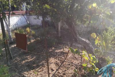 Drumul Gazarului, str. Soimus - 6