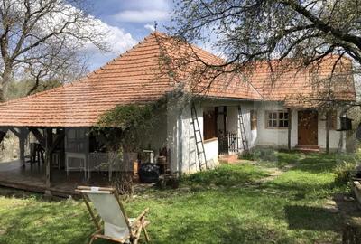 Casă cu 2 camere cu Teren 3198 Mp în Zălan - 5