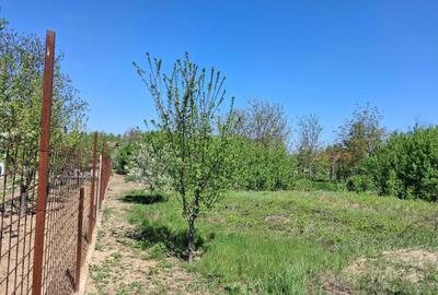 Casă cu 2 camere în Cornești - 5