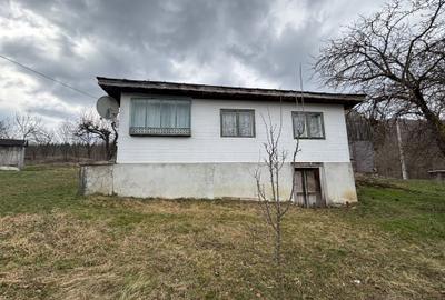 Casă cu 4 camere în Cosminele - 5