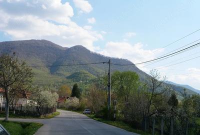 Casă cu 5 camere cu Teren 780 Mp în Râu de Mori - 4