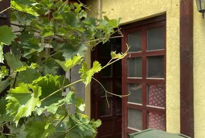 Casă cu 3 camere în Sălaj - 4