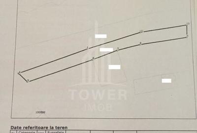 EXCLUSIVITATE! Teren la șoseaua principală | Tocile - 8