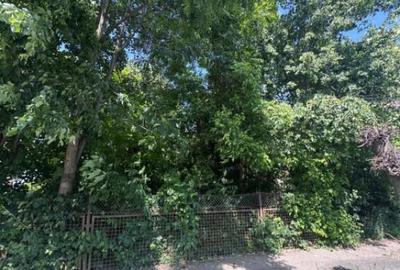 Teren de 4200 mp, în Rădăuți