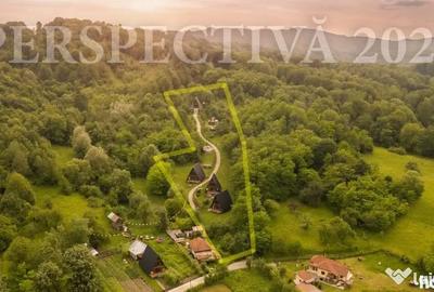 Teren de 11700 mp, în Valea - 3