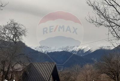 Teren de 10279 mp, în Bran - 5